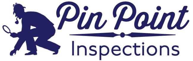 Pin Point Inspections